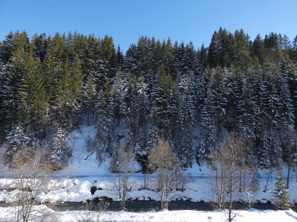 Alpenappartements Domicil Include Jokercard Saalbach-Hinterglemm Exterior photo